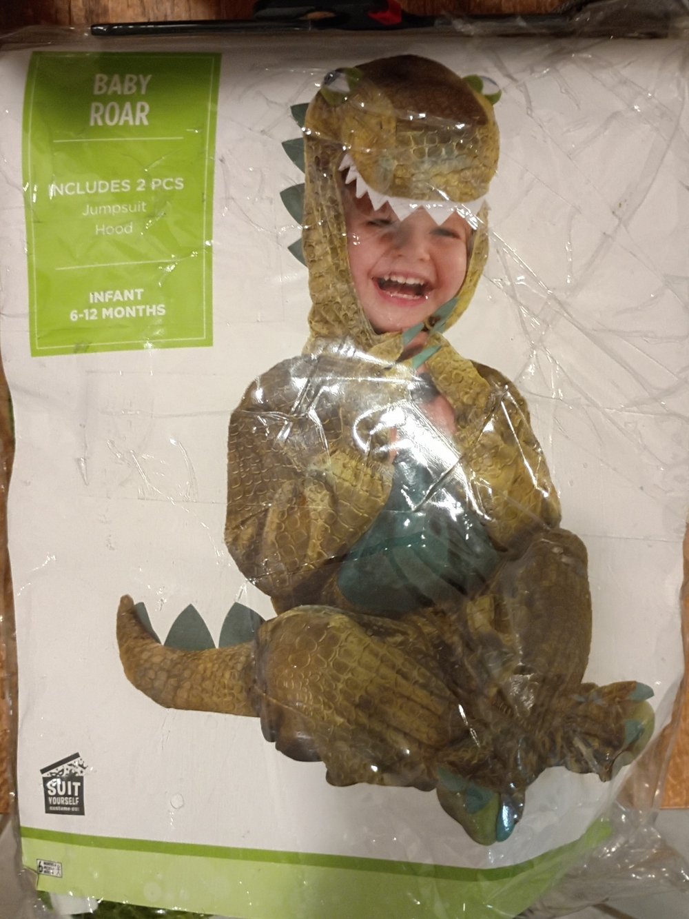 Baby Roar Infant Dinosaur Costume - Green -Never Worn